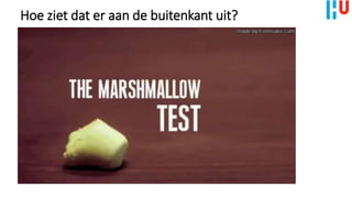 Hoe ziet dat er aan de buitenkant uit?
 