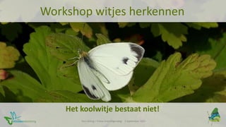 Kars Veling – Friese Vrijwilligersdag - 3 september 2022
Het koolwitje bestaat niet!
Workshop witjes herkennen
 