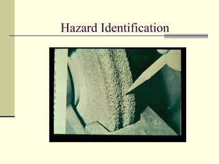 Hazard Identification
 