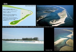 Spurned Example Works Of The Sea And Development Of The Related Landforms For ...