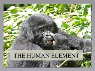 THE HUMAN ELEMENT 