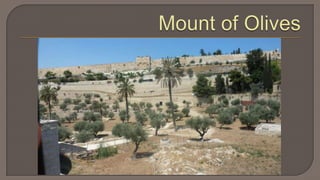 Rabbis for Human RightsIn 1948 David Ben-Gurion promised equality for all = call of prophets.On 60th anniversary RHR broadcast this promise, with progress report.We aim to understand the prophets’ writings about justice and peace, and to apply them to human rights and social justice.