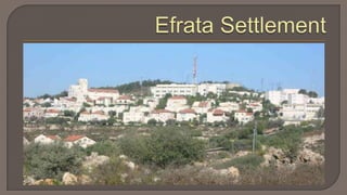 Efrata Settlement