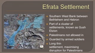 Efrata SettlementSouthern West Bank between Bethlehem and HebronPart of a cluster of settlements, known as Gush EtzionPalestinians not allowed inGuarded by armed soldiersLong thin settlement, maximising disruption for Palestinians