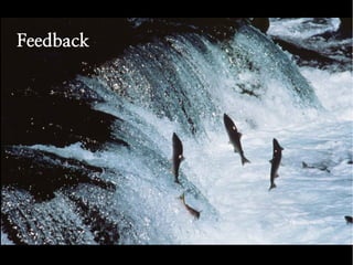 Feedback

 