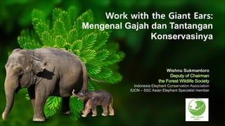 Wishnu Sukmantoro
Indonesia Elephant Conservation Association
IUCN – SSC Asian Elephant Specialist member
Deputy of Chairman
the Forest Wildlife Society
Work with the Giant Ears:
Mengenal Gajah dan Tantangan
Konservasinya
 