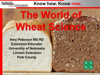 Know how. Know now.

The World of
Wheat Science
Amy Peterson MS RD
Extension Educator
University of Nebraska
Lincoln Extension
Polk County

1

 