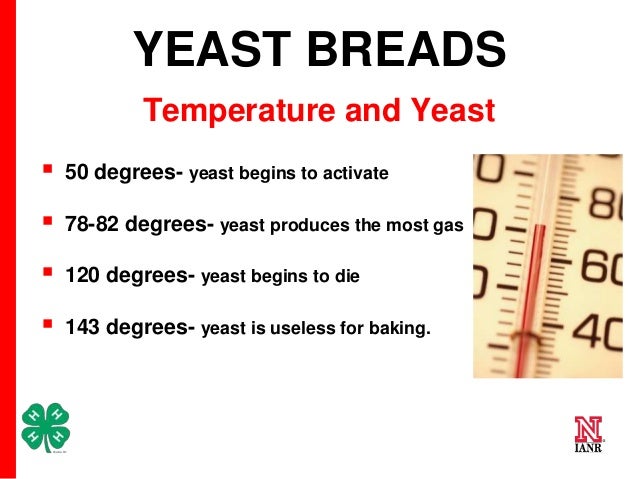 World Of Wheat Science