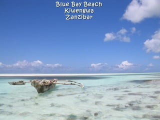 Blue Bay Beach
   Kiwengwa
   Zanzibar
 