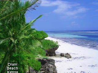 Diani
Beach
 