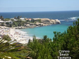 Clifton
 Beach
Tasmania
 