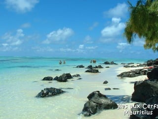 Iles aux Cerfs
   Mauritius
 