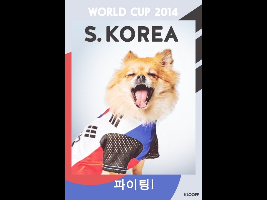 World Cup 2014 Dog Soccer Fans