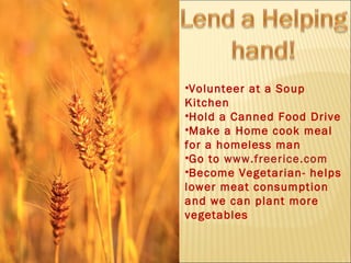Volunteer at a Soup Kitchen Hold a Canned Food Drive Make a Home cook meal for a homeless man Go to  www.freerice.com Become Vegetarian- helps lower meat consumption and we can plant more vegetables 