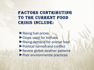 Factors contributing to the current Food crisis include: Rising fuel prices Crops used for biofuels Rising demand for animal feed Political turmoil and conflict Severe global weather patterns Poor environmental practices 