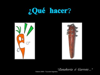 ¿Qué hacer? “ Zanahoria ó   Garrote…” Febrero 2009 – Tucumán Argentina 