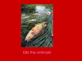 Kills the animals!   