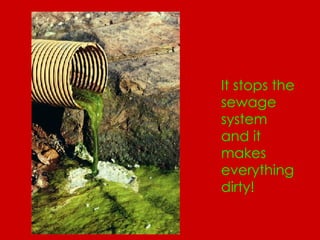 It stops the sewage system and it makes everything dirty! 