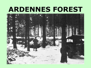 ARDENNES FOREST 