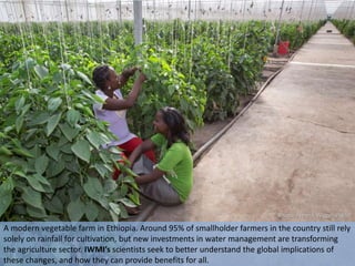 World Water Day 2015