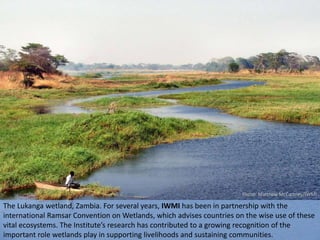 World Water Day 2015