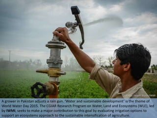 World Water Day 2015