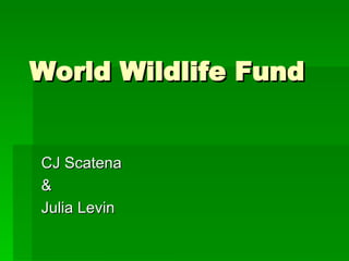 World Wildlife Fund CJ Scatena & Julia Levin  