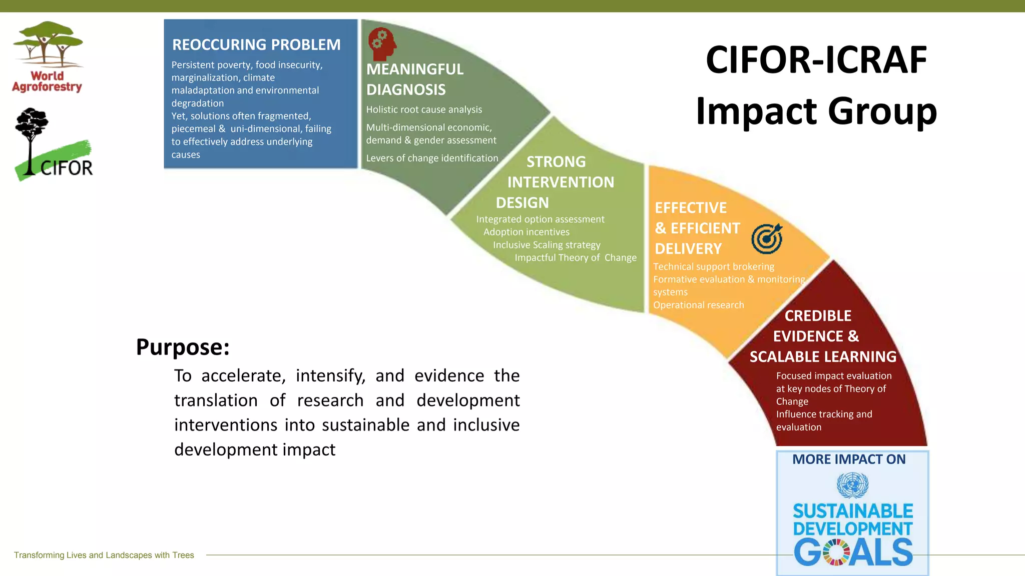 Transforming Lives and Landscapes with Trees
Purpose:
To accelerate, intensify, and evidence the
translation of research and development
interventions into sustainable and inclusive
development impact
CIFOR-ICRAF
Impact Group
MEANINGFUL
DIAGNOSIS
STRONG
INTERVENTION
DESIGN
Integrated option assessment
Adoption incentives
Inclusive Scaling strategy
Impactful Theory of Change
Technical support brokering
Formative evaluation & monitoring
systems
Operational research
CREDIBLE
EVIDENCE &
SCALABLE LEARNING
Focused impact evaluation
at key nodes of Theory of
Change
Influence tracking and
evaluation
Holistic root cause analysis
Multi-dimensional economic,
demand & gender assessment
Levers of change identification
REOCCURING PROBLEM
EFFECTIVE
& EFFICIENT
DELIVERY
MORE IMPACT ON
Persistent poverty, food insecurity,
marginalization, climate
maladaptation and environmental
degradation
Yet, solutions often fragmented,
piecemeal & uni-dimensional, failing
to effectively address underlying
causes
 
