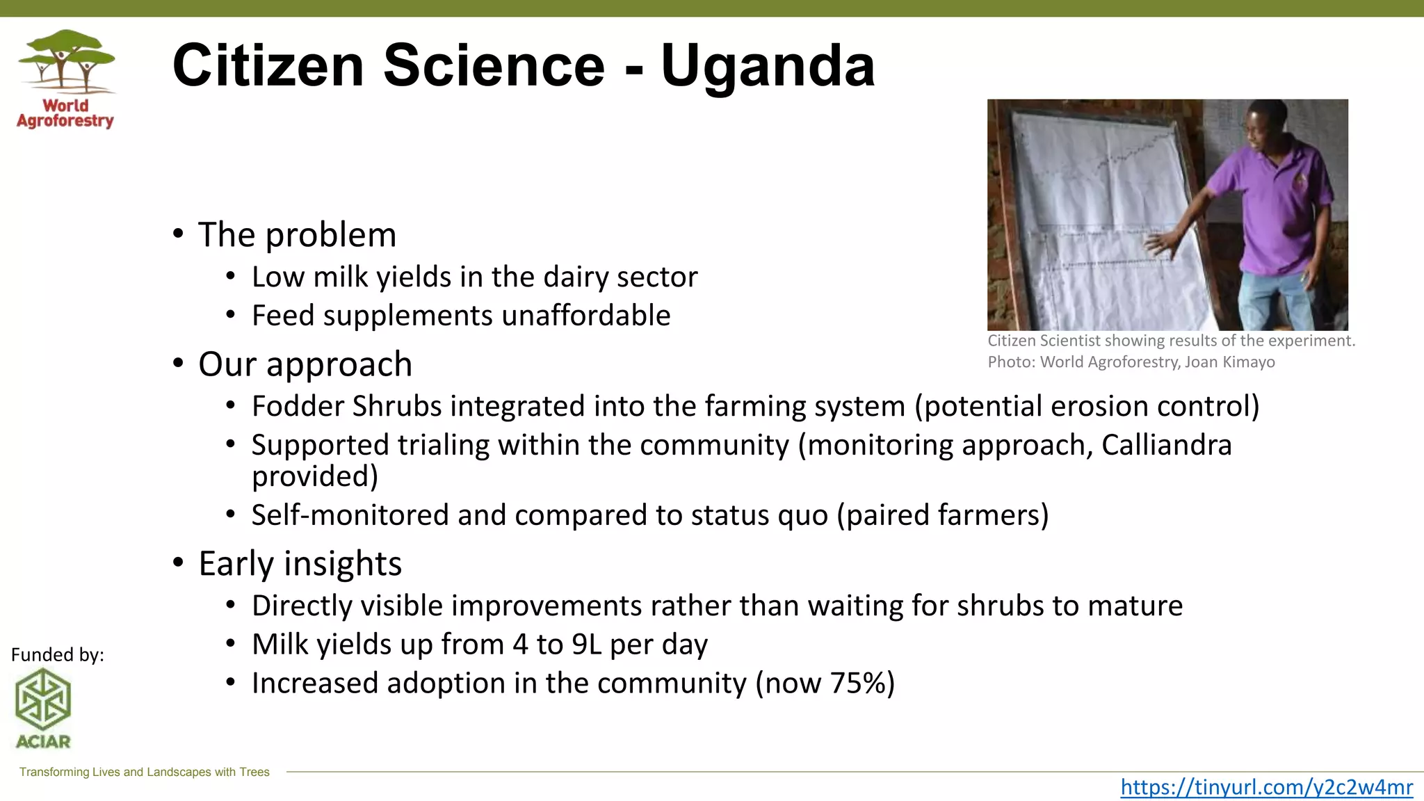 Transforming Lives and Landscapes with Trees
Citizen Science - Uganda
• The problem
• Low milk yields in the dairy sector
• Feed supplements unaffordable
• Our approach
• Fodder Shrubs integrated into the farming system (potential erosion control)
• Supported trialing within the community (monitoring approach, Calliandra
provided)
• Self-monitored and compared to status quo (paired farmers)
• Early insights
• Directly visible improvements rather than waiting for shrubs to mature
• Milk yields up from 4 to 9L per day
• Increased adoption in the community (now 75%)
https://tinyurl.com/y2c2w4mr
Citizen Scientist showing results of the experiment.
Photo: World Agroforestry, Joan Kimayo
Funded by:
 