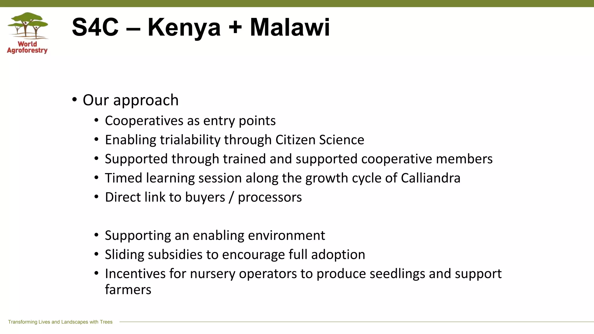 Transforming Lives and Landscapes with Trees
S4C – Kenya + Malawi
• Our approach
• Cooperatives as entry points
• Enabling trialability through Citizen Science
• Supported through trained and supported cooperative members
• Timed learning session along the growth cycle of Calliandra
• Direct link to buyers / processors
• Supporting an enabling environment
• Sliding subsidies to encourage full adoption
• Incentives for nursery operators to produce seedlings and support
farmers
 