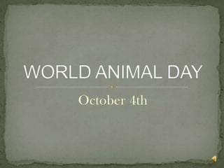 October 4th WORLD ANIMAL DAY 