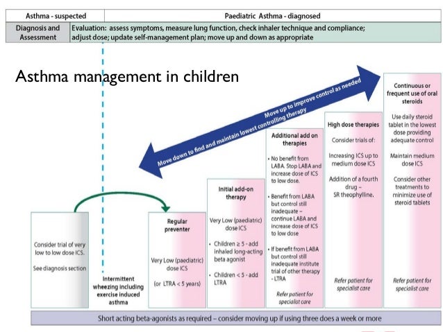 Updates On Pharmacological Management Of Pediatric Asthma