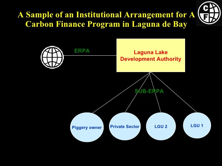 Carbon finance Essays