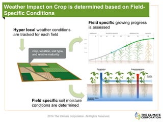Weather Impact on Crop is determined based on Field-
Specific Conditions
2014 The Climate Corporation. All Rights Reserved.
Hyper local weather conditions
are tracked for each field
Field specific soil moisture
conditions are determined
Field specific growing progress
is assessed
 