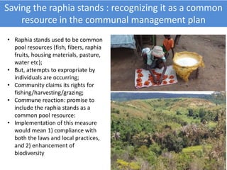 Tenure security and Forest Landscape Restoration in Boeny, Madagascar