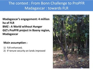 .
Madagascar’s engagement: 4 million
ha of FLR
BMZ : A World without Hunger
GIZ’s ProPFR project in Boeny region,
Madagasc...