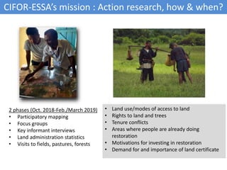 Tenure security and Forest Landscape Restoration in Boeny, Madagascar