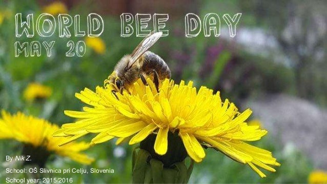 World Bee Day World Bee Day