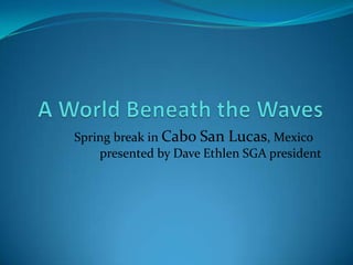 A World Beneath the Waves Spring break in Cabo San Lucas, Mexico		presented by Dave Ethlen SGA president 