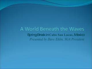 Spring Break in  Cabo San Lucas , Mexico Presented by Dave Ehlin, SGA President 