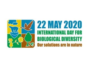 World biodiversity day
