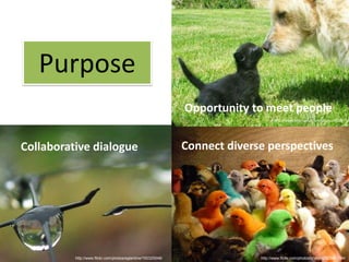 Purpose
                                                              Opportunity to meet people
                                                                                   http://www.flickr.com/photos/fazen/9079179/




Collaborative dialogue                                        Connect diverse perspectives




          http://www.flickr.com/photos/eglantine/150325548/                 http://www.flickr.com/photos/chrisjfry/323461344/
 