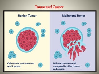Cancer.pptx