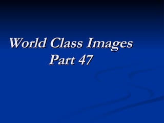 World Class Images Part 47 