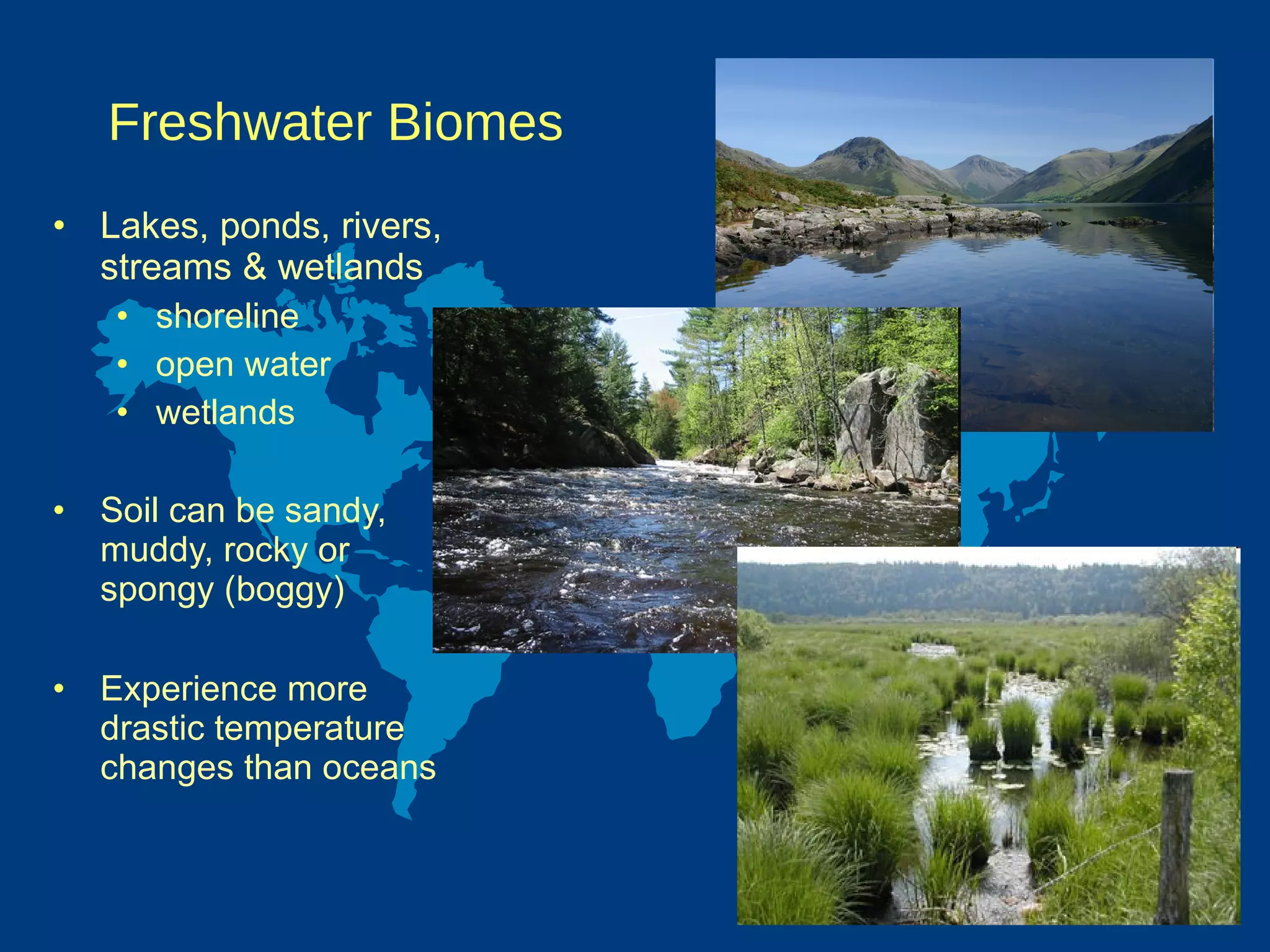 Freshwater Biomes  Lakes, ponds, rivers, streams & wetlands  shoreline open water wetlands Soil can be sandy, muddy, rocky or spongy (boggy) Experience more drastic temperature changes than oceans 