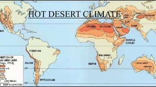 HOT DESERT CLIMATE
 
