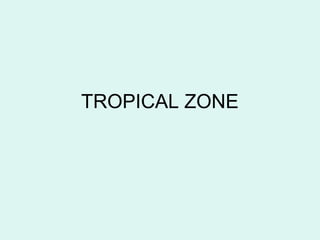 TROPICAL ZONE
 