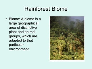 Rainforest Biome
• Biome: A biome is a
large geographical
area of distinctive
plant and animal
groups, which are
adapted to that
particular
environment
 