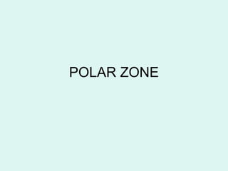 POLAR ZONE
 