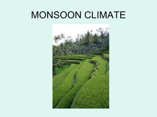 MONSOON CLIMATE
 